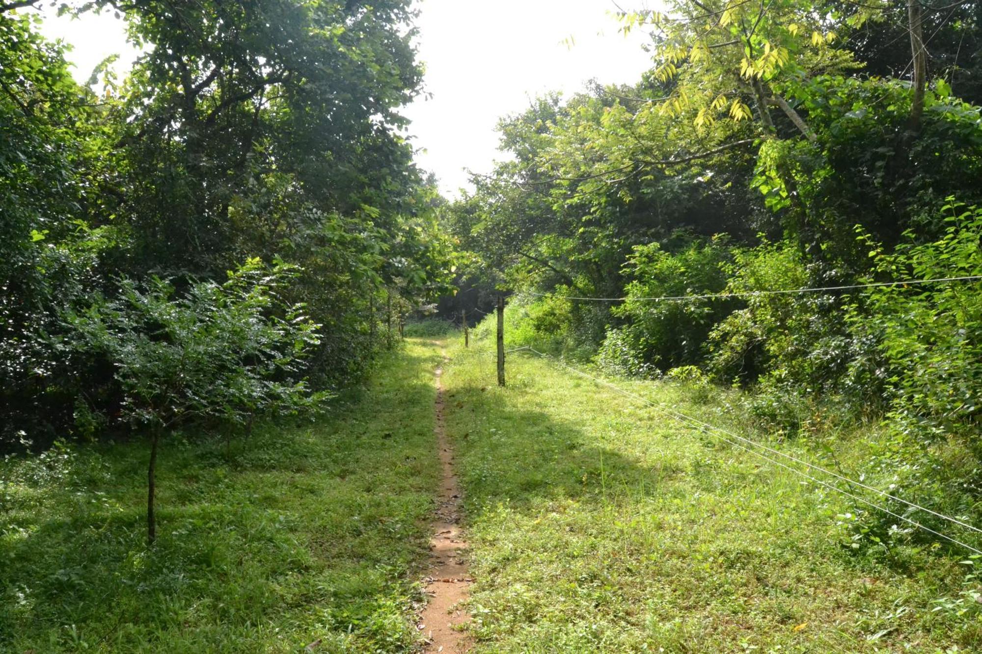 Sky Forest Habarana Exterior photo