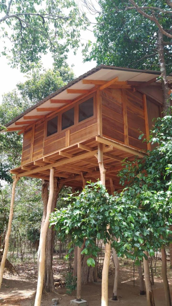 Sky Forest Habarana Exterior photo
