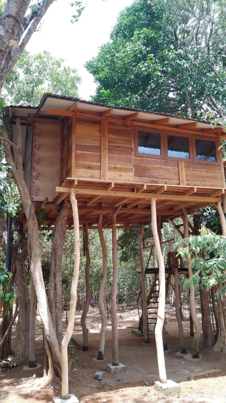 Sky Forest Habarana Exterior photo